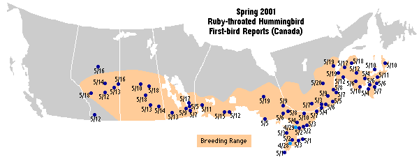 Ruby-throated map for Canada