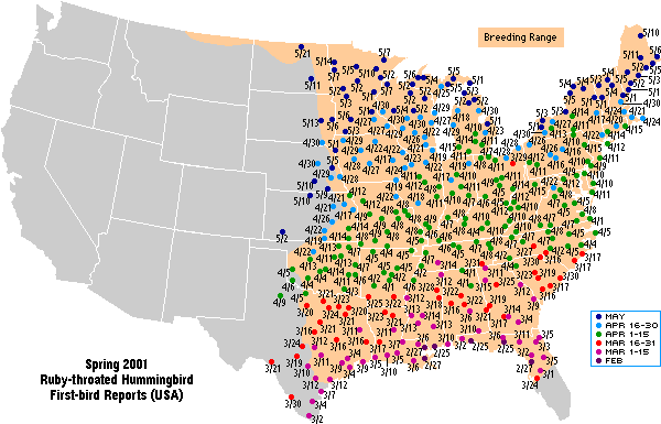 Ruby-throated map for the U.S.