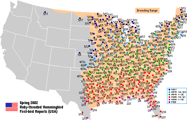 Ruby-throated map for the U.S.