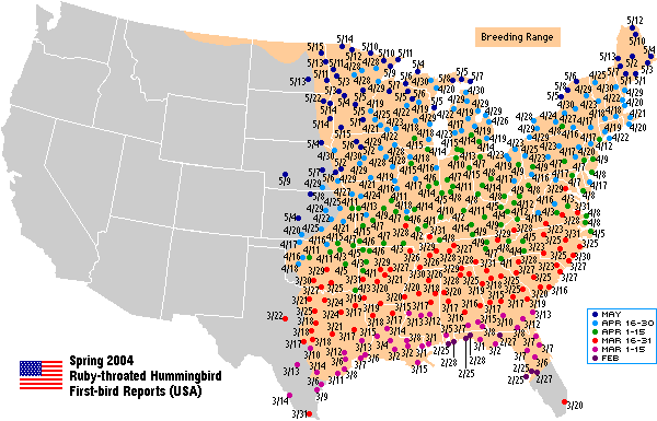 Ruby-throated map for the U.S.