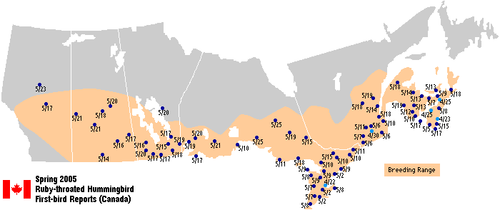 Ruby-throated map for Canada