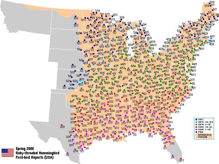 Ruby-throated map for the U.S.