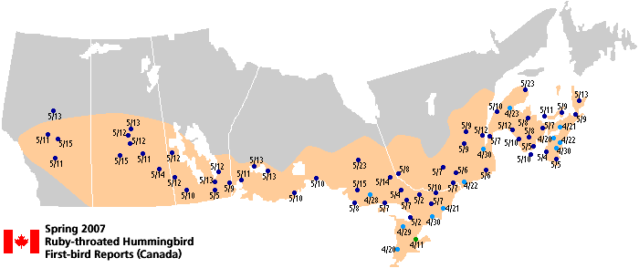 Ruby-throated map for Canada