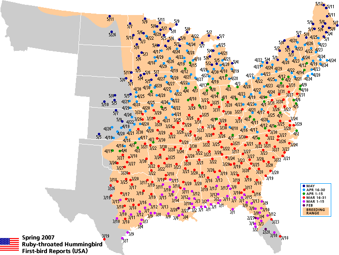 Ruby-throated map for the U.S.