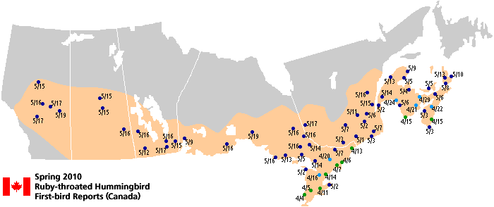 Ruby-throated map for Canada