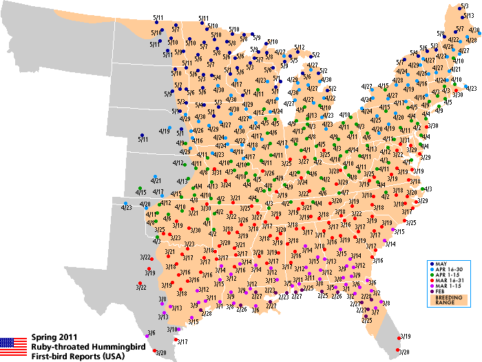 Ruby-throated map for the U.S.