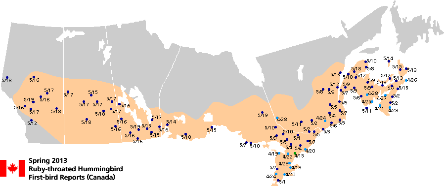 Ruby-throated map for Canada